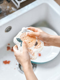 Fruit-Shaped Kitchen Cleaning Sponge