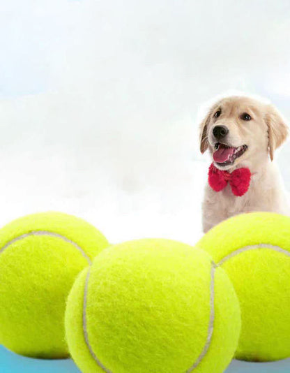 Pelota de entrenamiento para mascotas, juguete de tenis resistente para perros